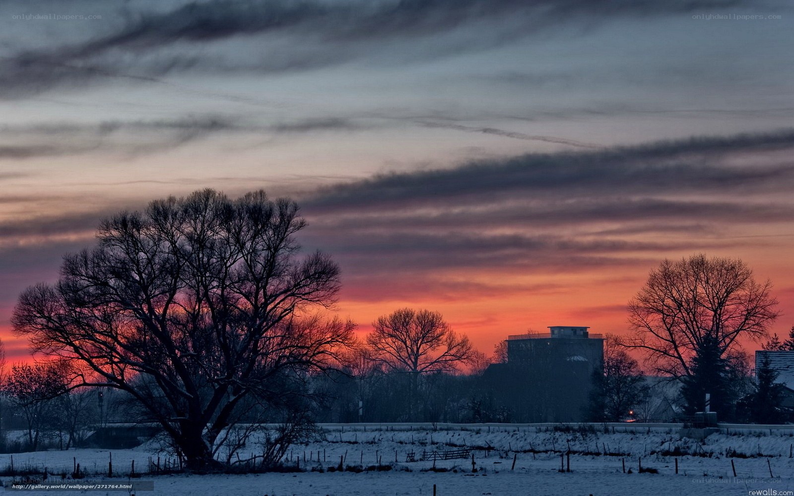 Winter sunset with silhouetted trees