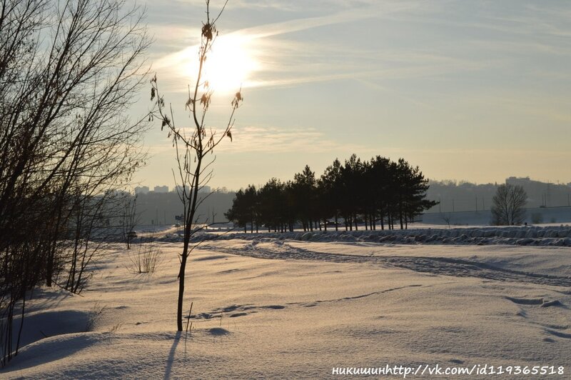 Winter sunset with snow