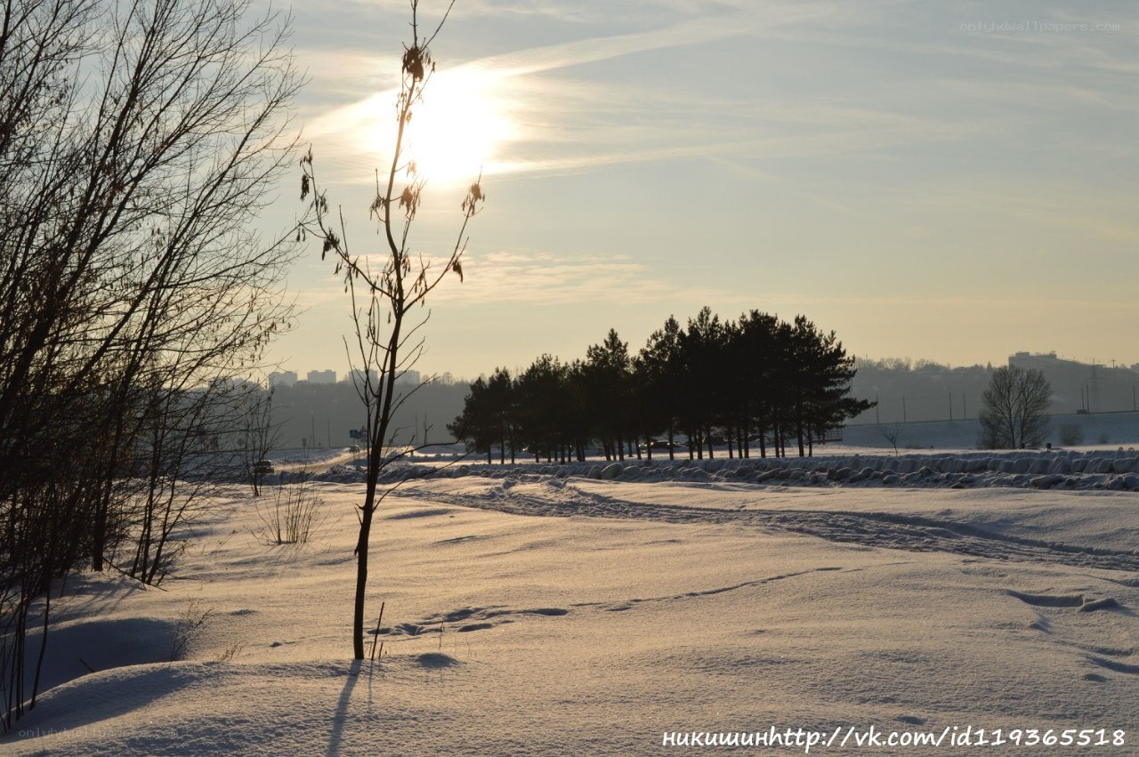Winter sunset with snow