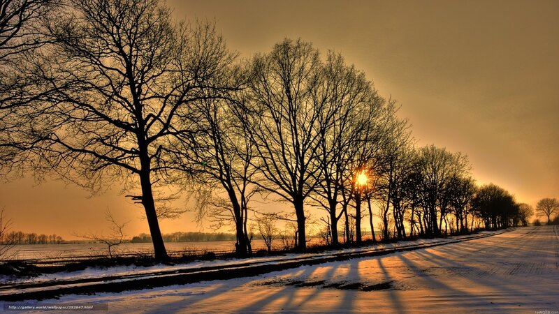Winter sunset with tree shadows