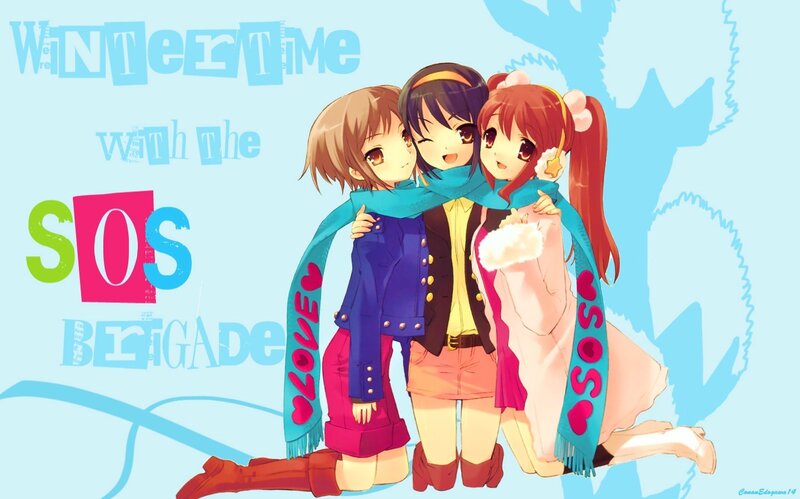 Winter time with the SOS Brigade