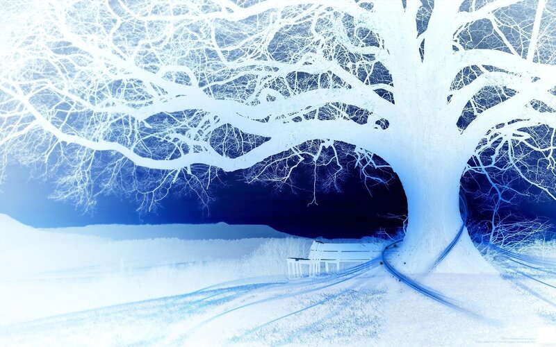 Winter tree with bench