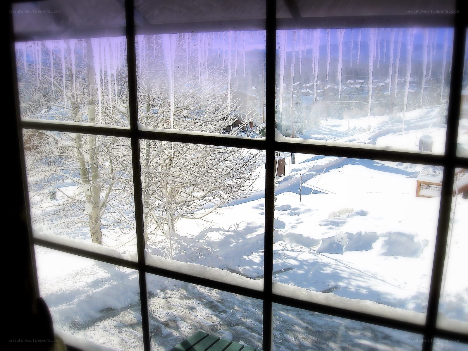 Winter view through a window