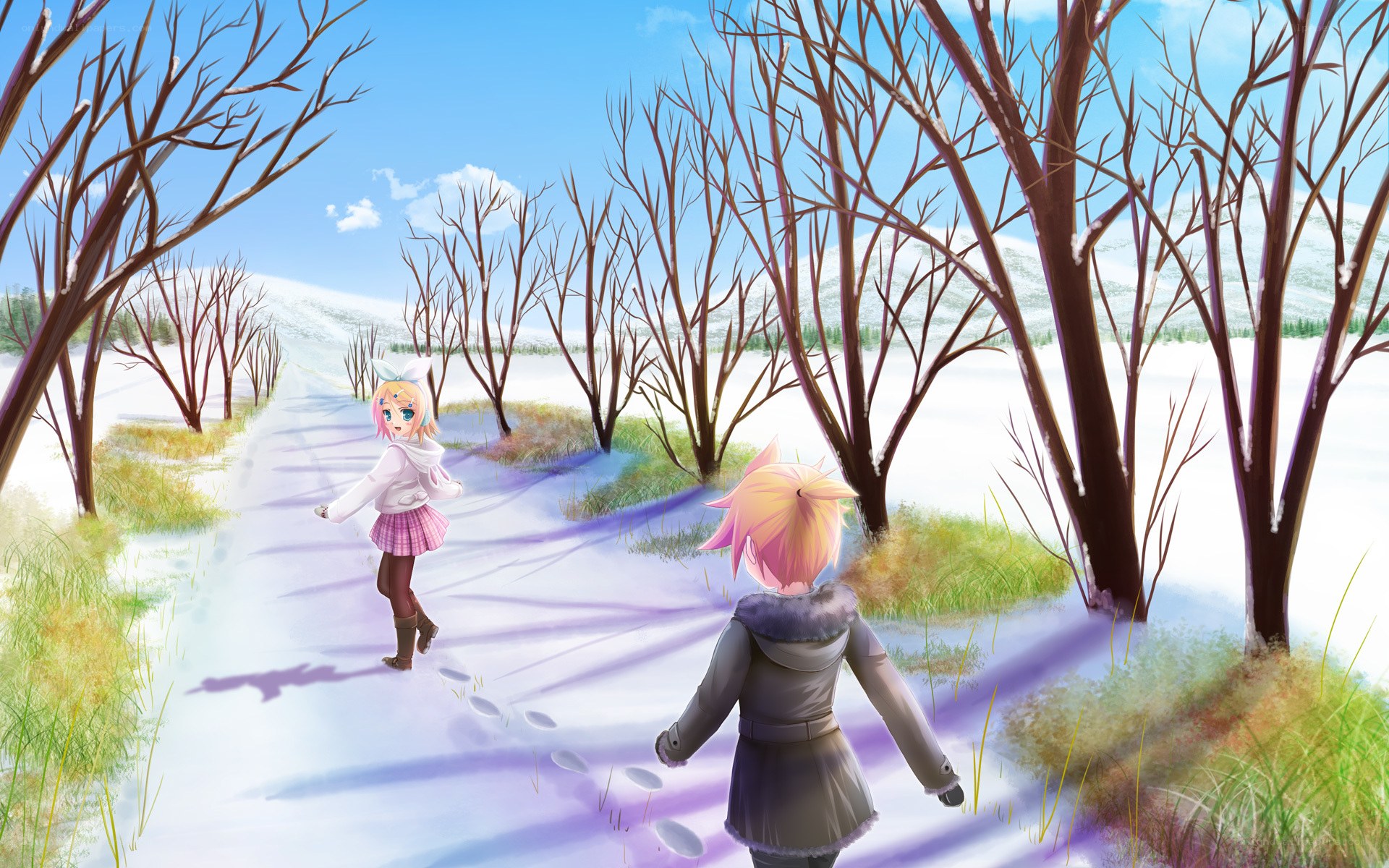 Winter walk in the snow