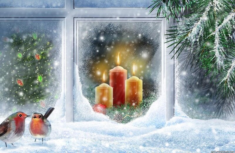 Winter window scene with birds