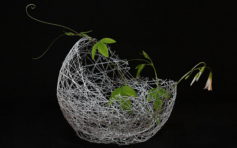 Wire Basket with Green Plants — Black