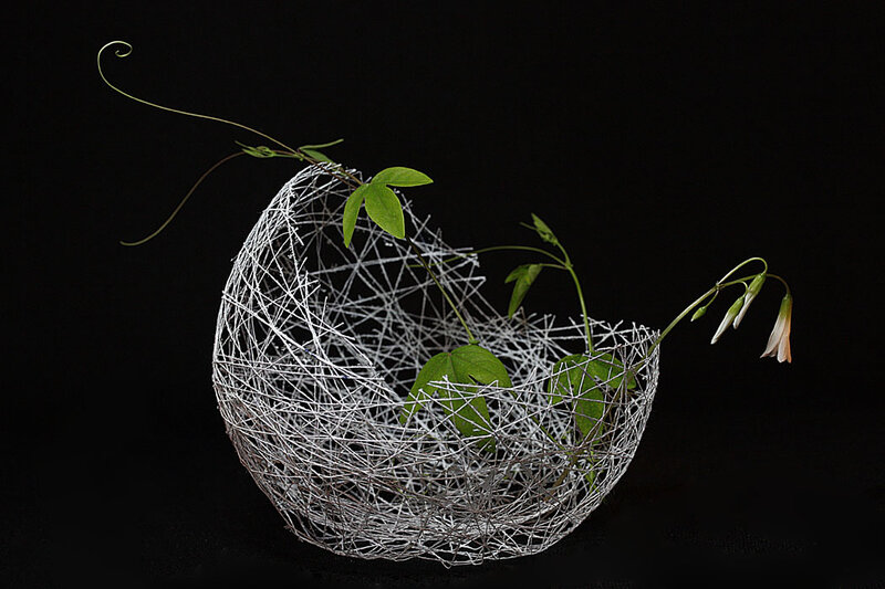 Wire Basket with Green Plants