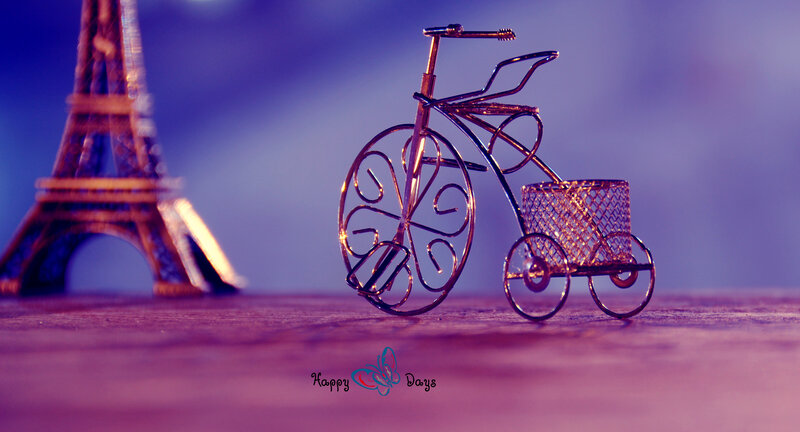 Wire Bicycle Model