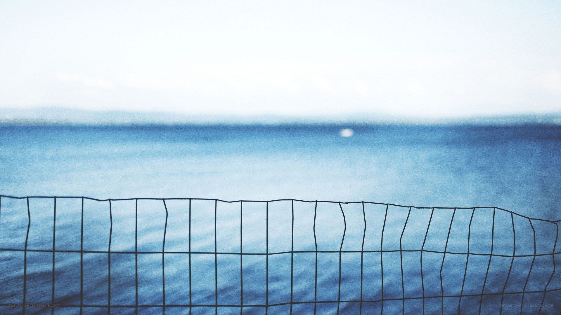 Wire fence overlooking the sea
