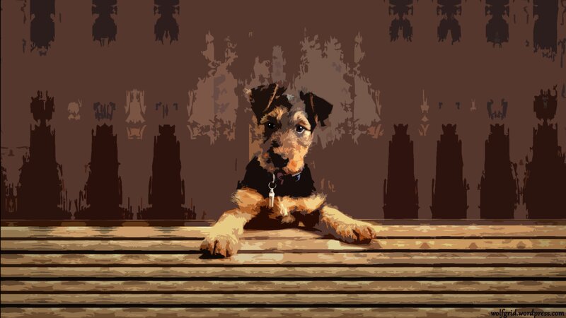 Wire-haired Terrier Puppy — Brown