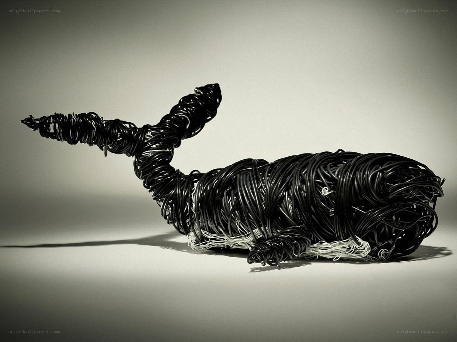 Wire sculpture of a whale