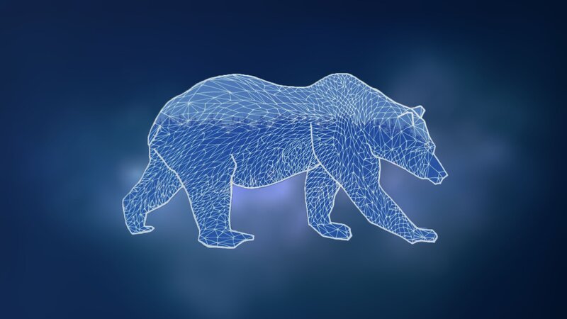 Wireframe Bear