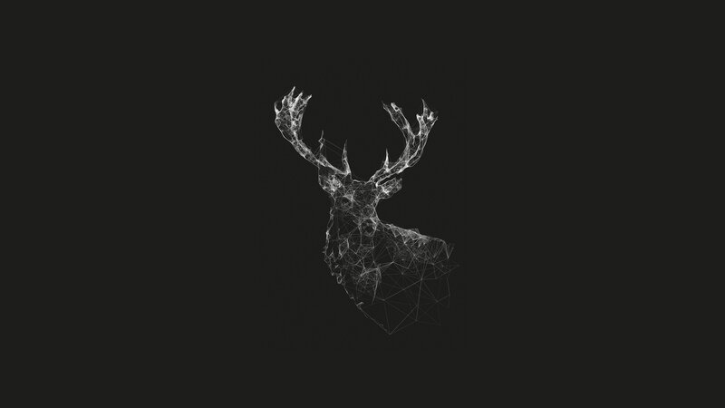 Wireframe Deer Head — Black, Minimalist, Digital Art