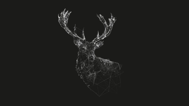Wireframe Deer Head — Black, Minimalist