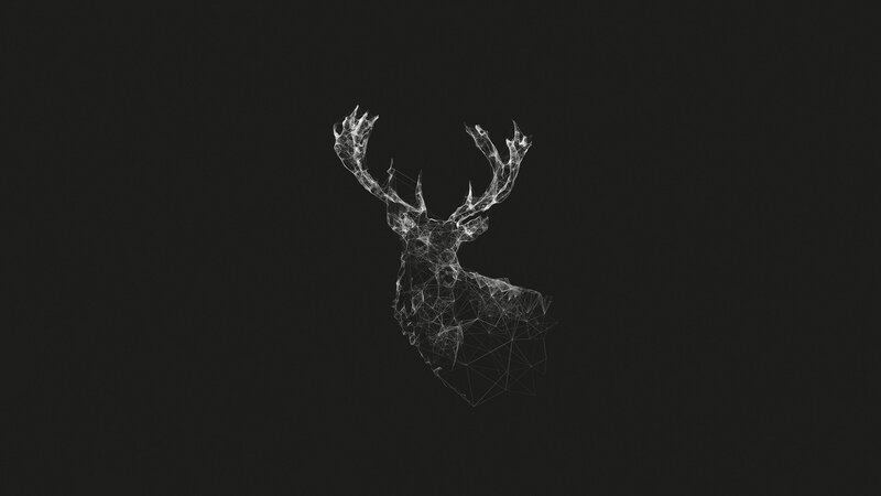 Wireframe Deer Head — Black