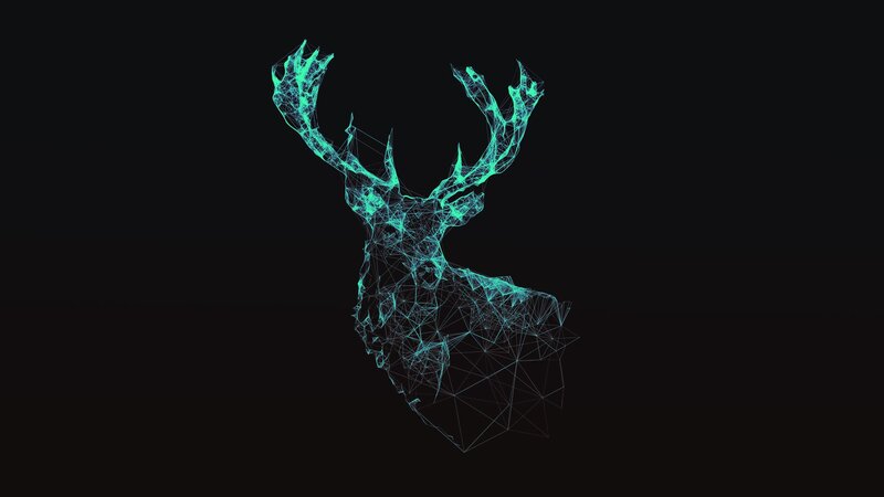 Wireframe Deer Head — Teal