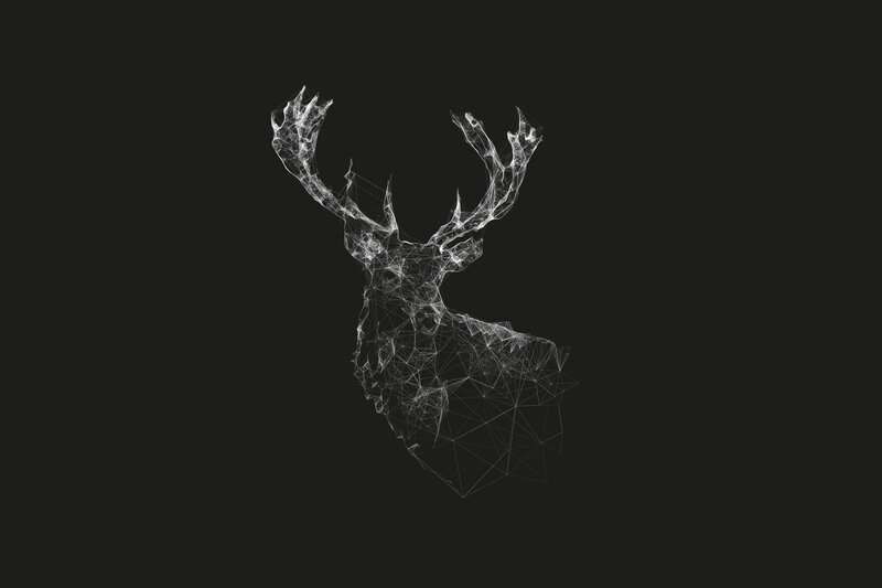 Wireframe Deer Head — White