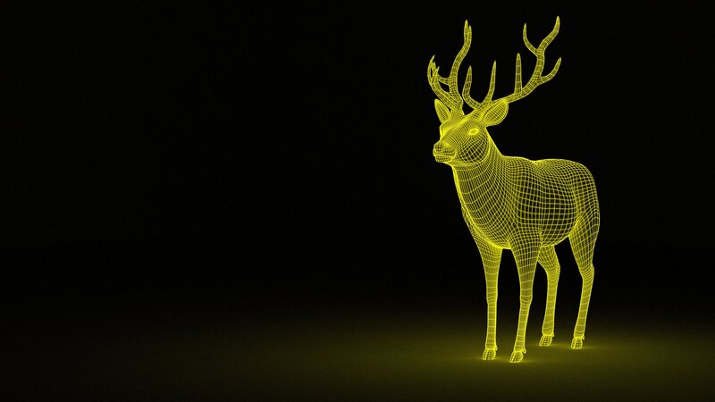 wireframe deer model