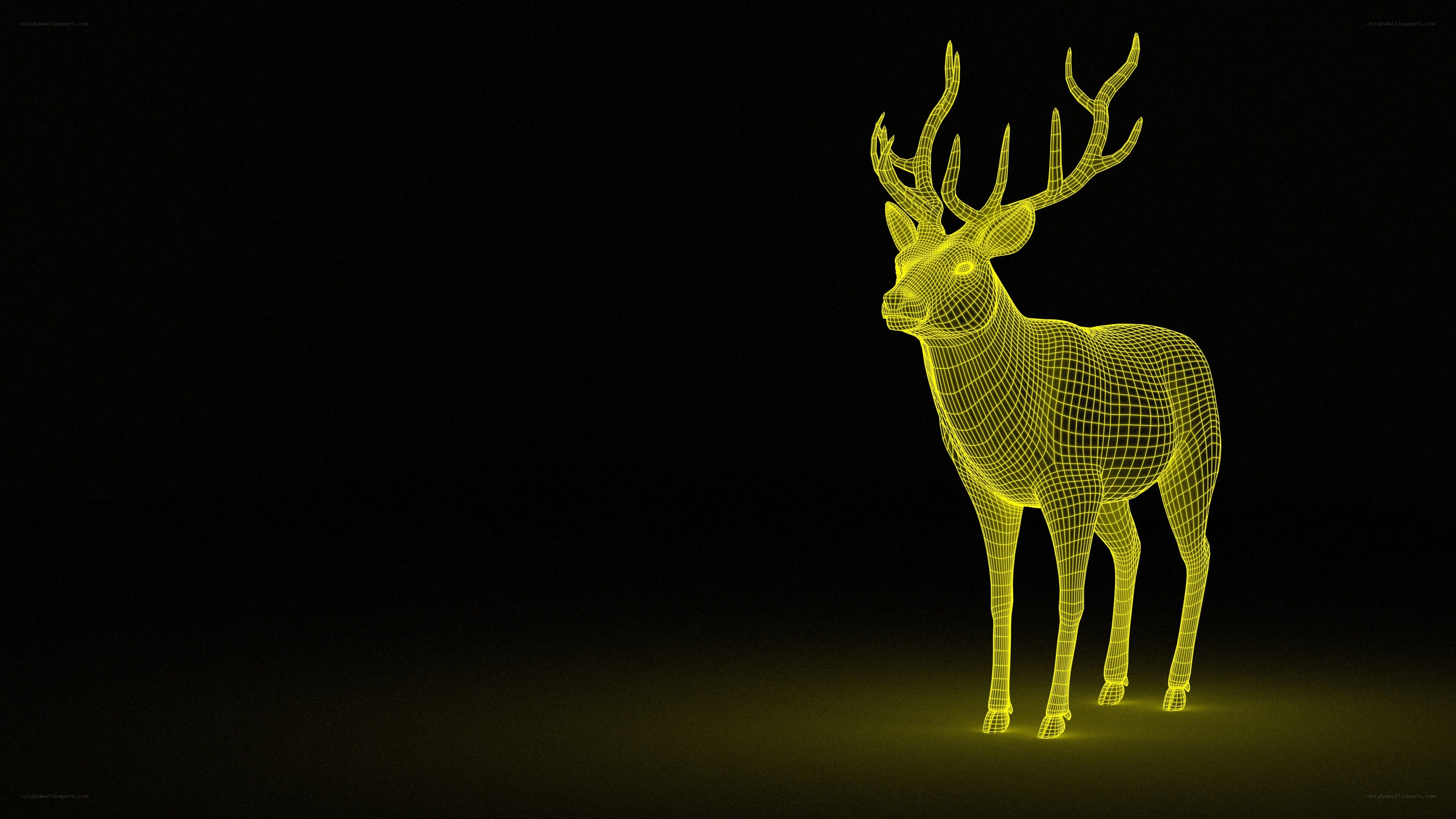 wireframe deer model