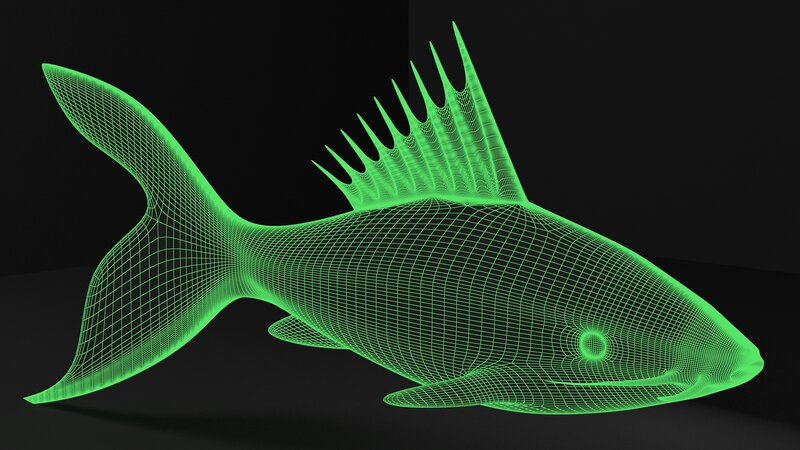 Wireframe Fish Model