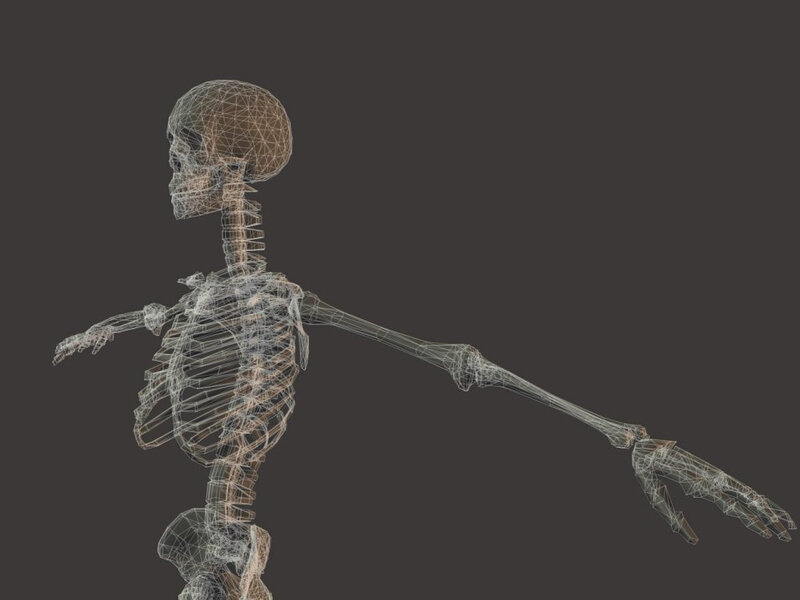Wireframe Skeleton Model