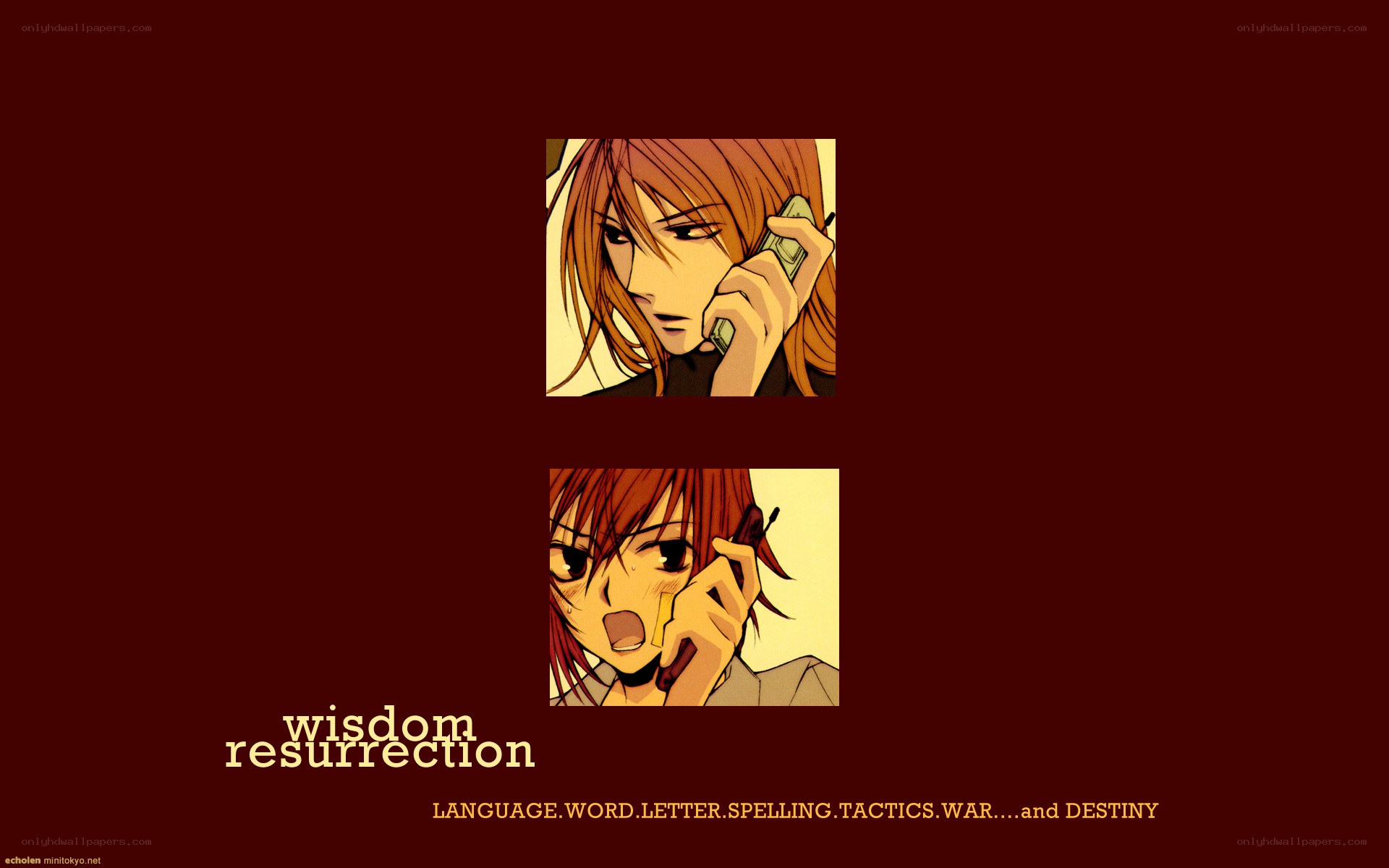 wisdom resurrection artwork