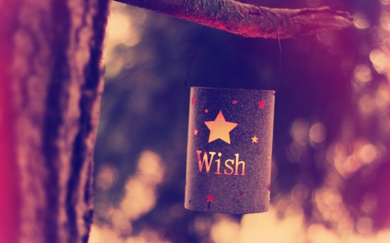 Wish lantern hanging from a tree