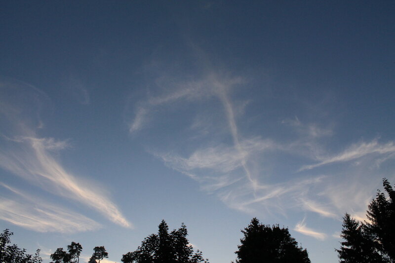 Wispy Clouds Above Trees