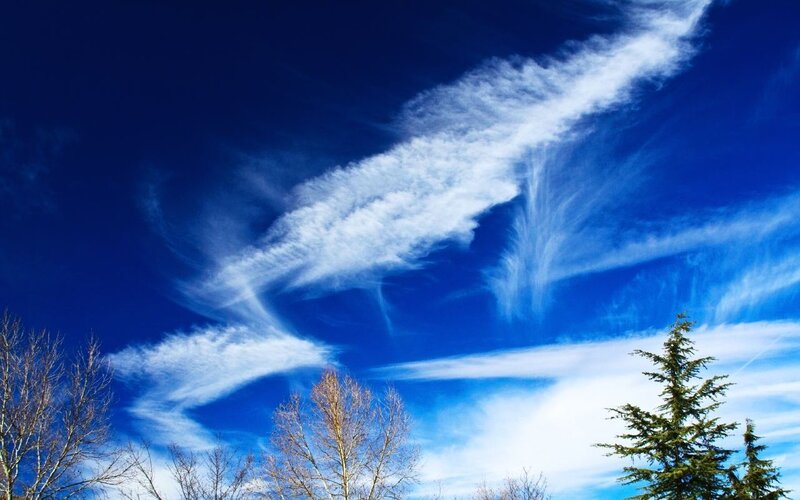 Wispy Clouds in Blue Sky — Serene, Afternoon, Photograph, Trees