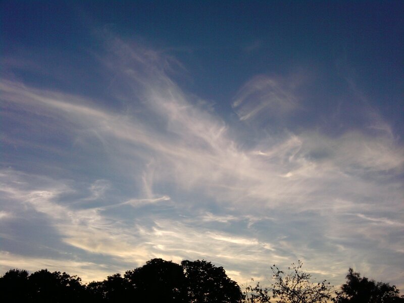 Wispy Clouds over Trees