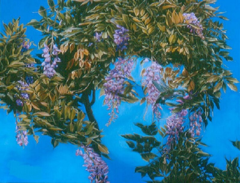 Wisteria against blue sky