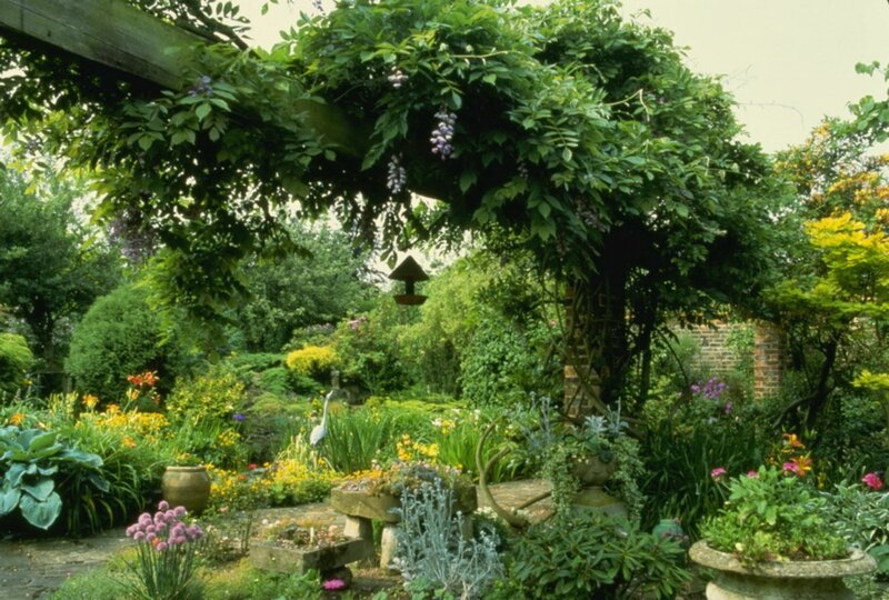 Wisteria-covered Arbor — Green
