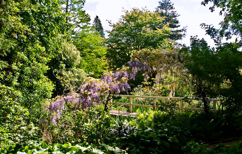 Wisteria-covered Bridge