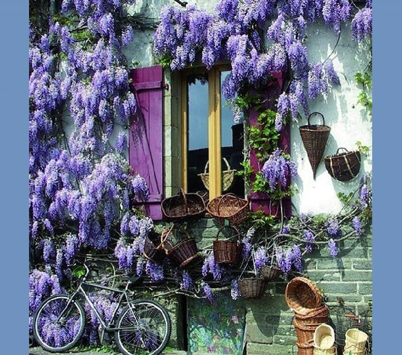 Wisteria-covered House — Purple, Serene, Spring