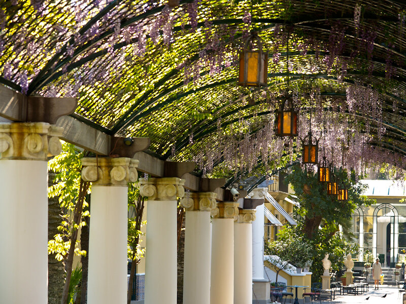 Wisteria-covered Pergola