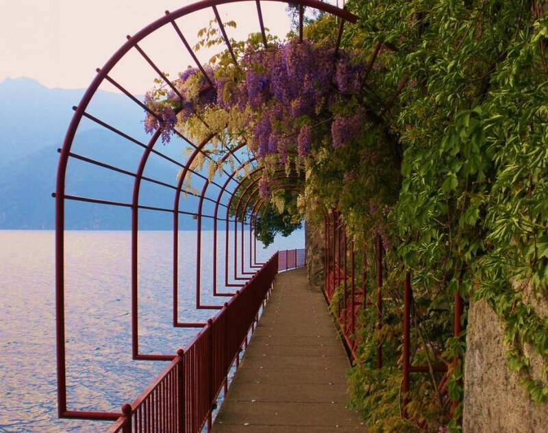 Wisteria-covered Walkway