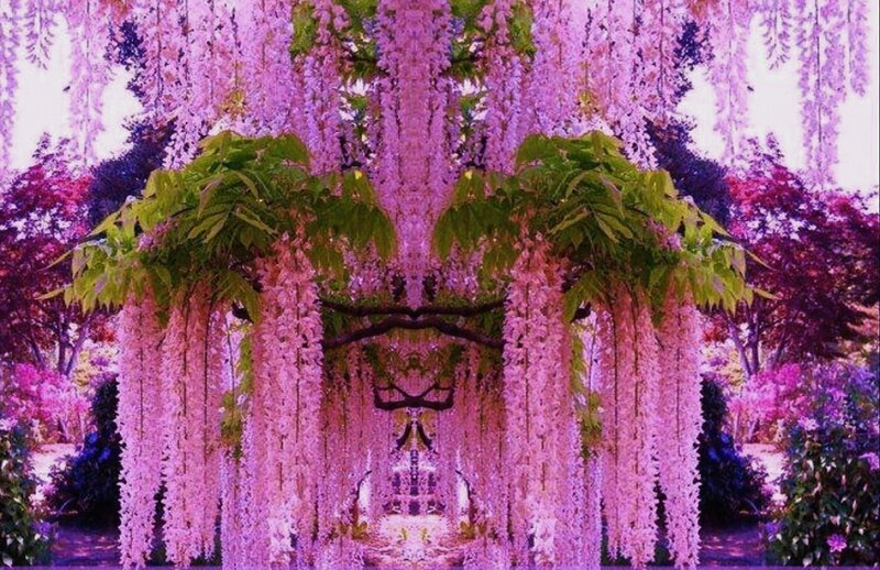 Wisteria Flower Arch — Purple