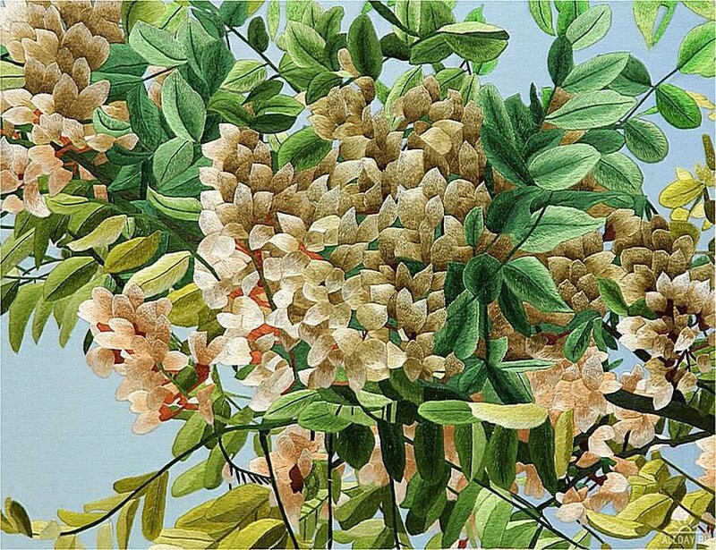 Wisteria Flowers and Leaves