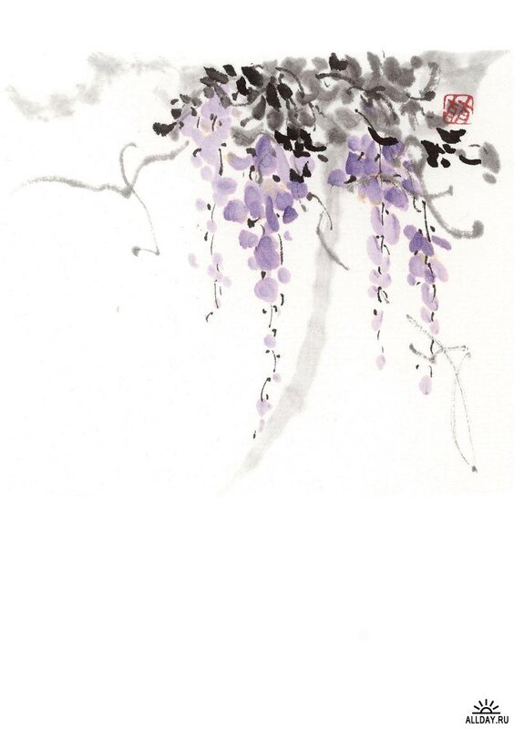 Wisteria in ink painting