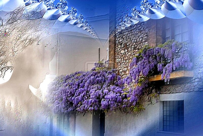 Wisteria on Balcony
