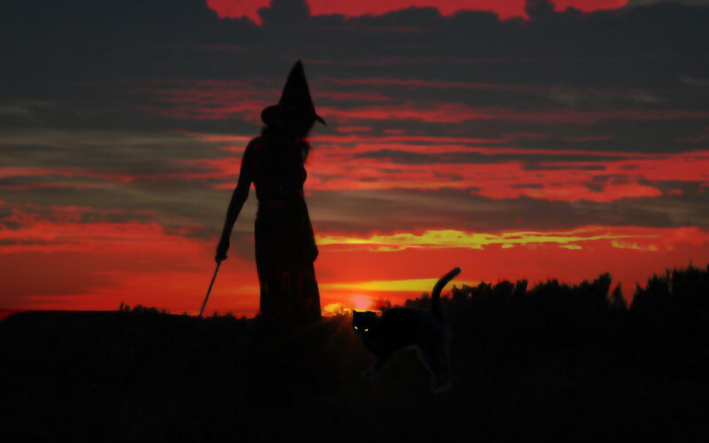witch and cat at sunset
