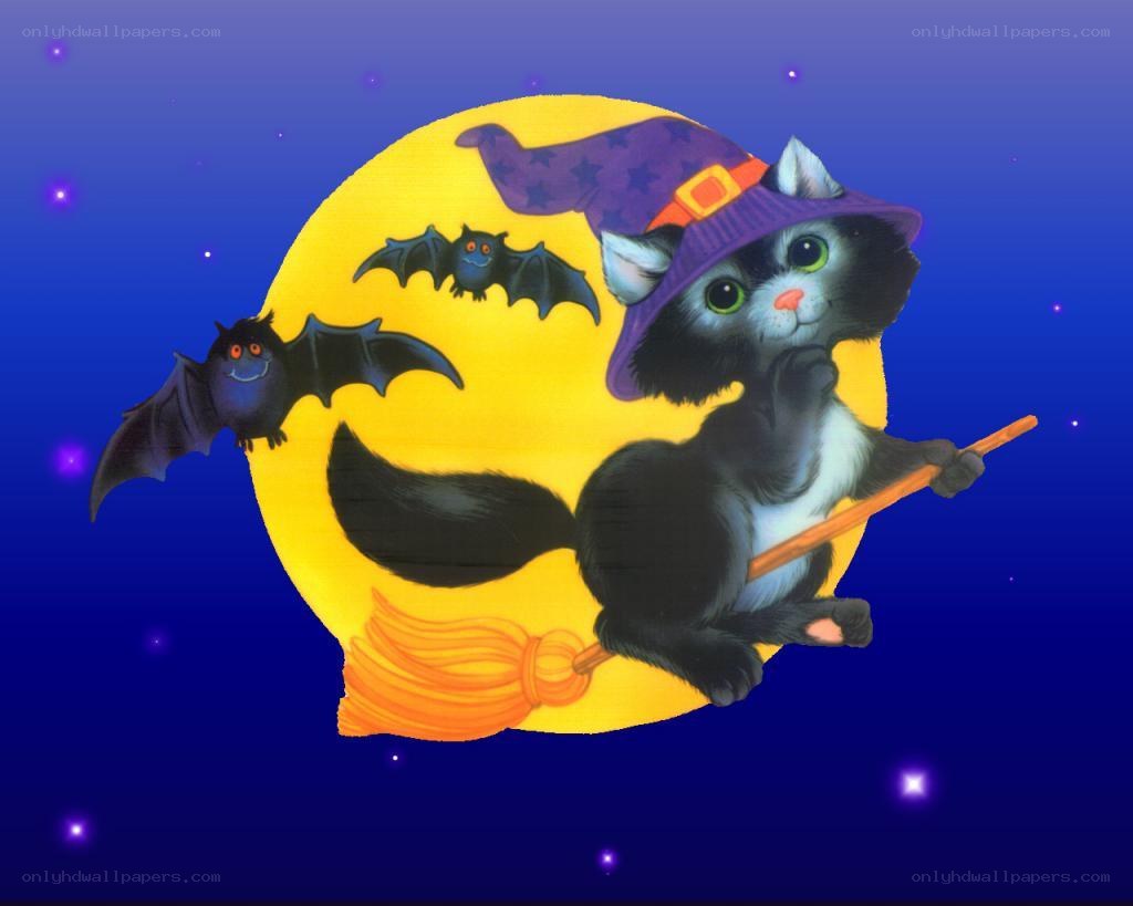 witch cat on broomstick
