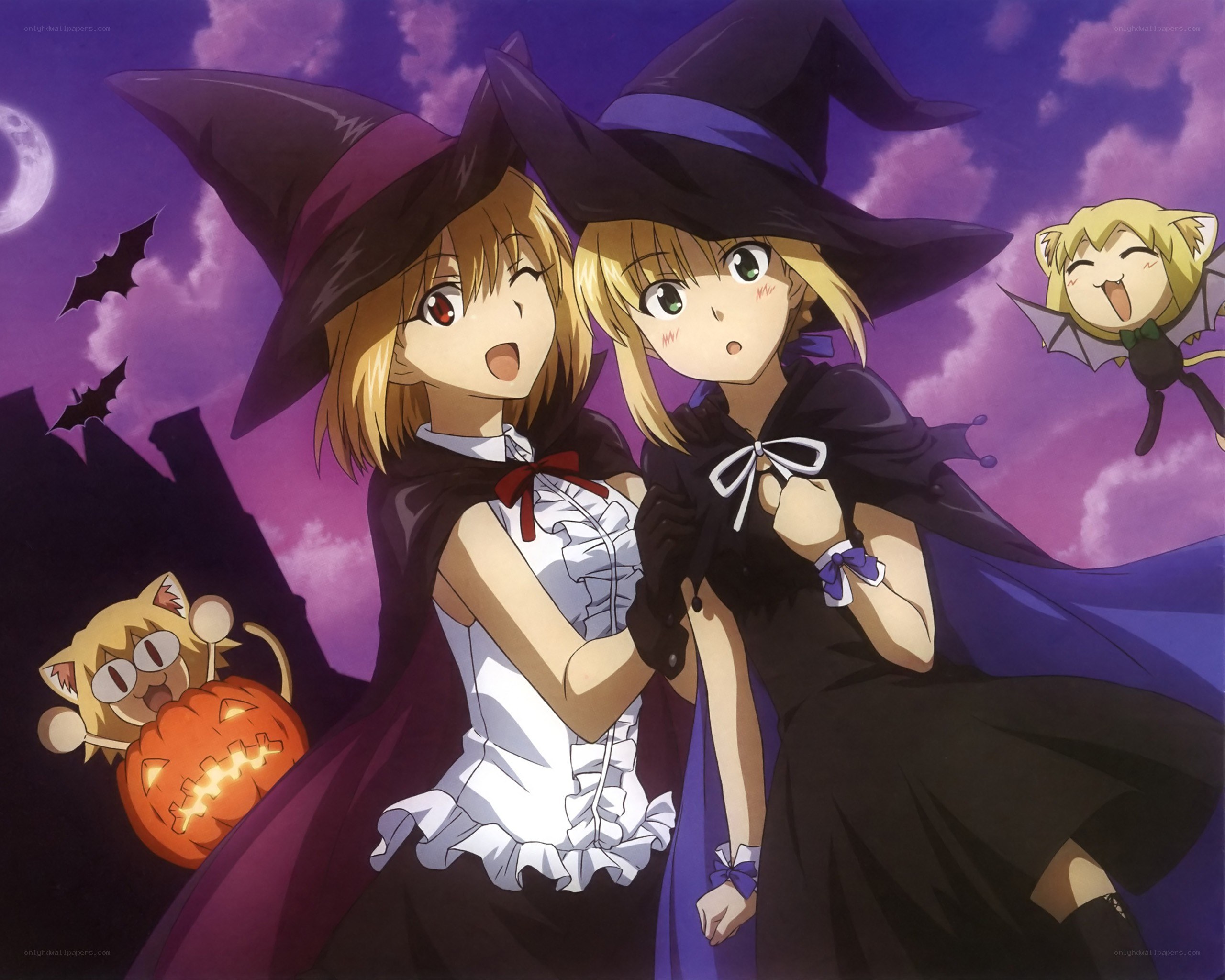 Witch costumes on Halloween