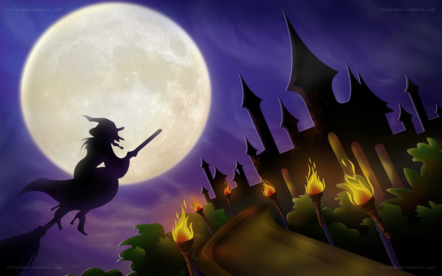 Witch flying at night