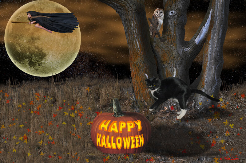 Witch Flying on Broom — Orange, Spooky, Night