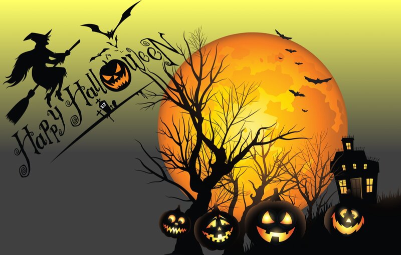 Witch Flying on Broom — Orange, Spooky, Night, Vector Art, Bats
