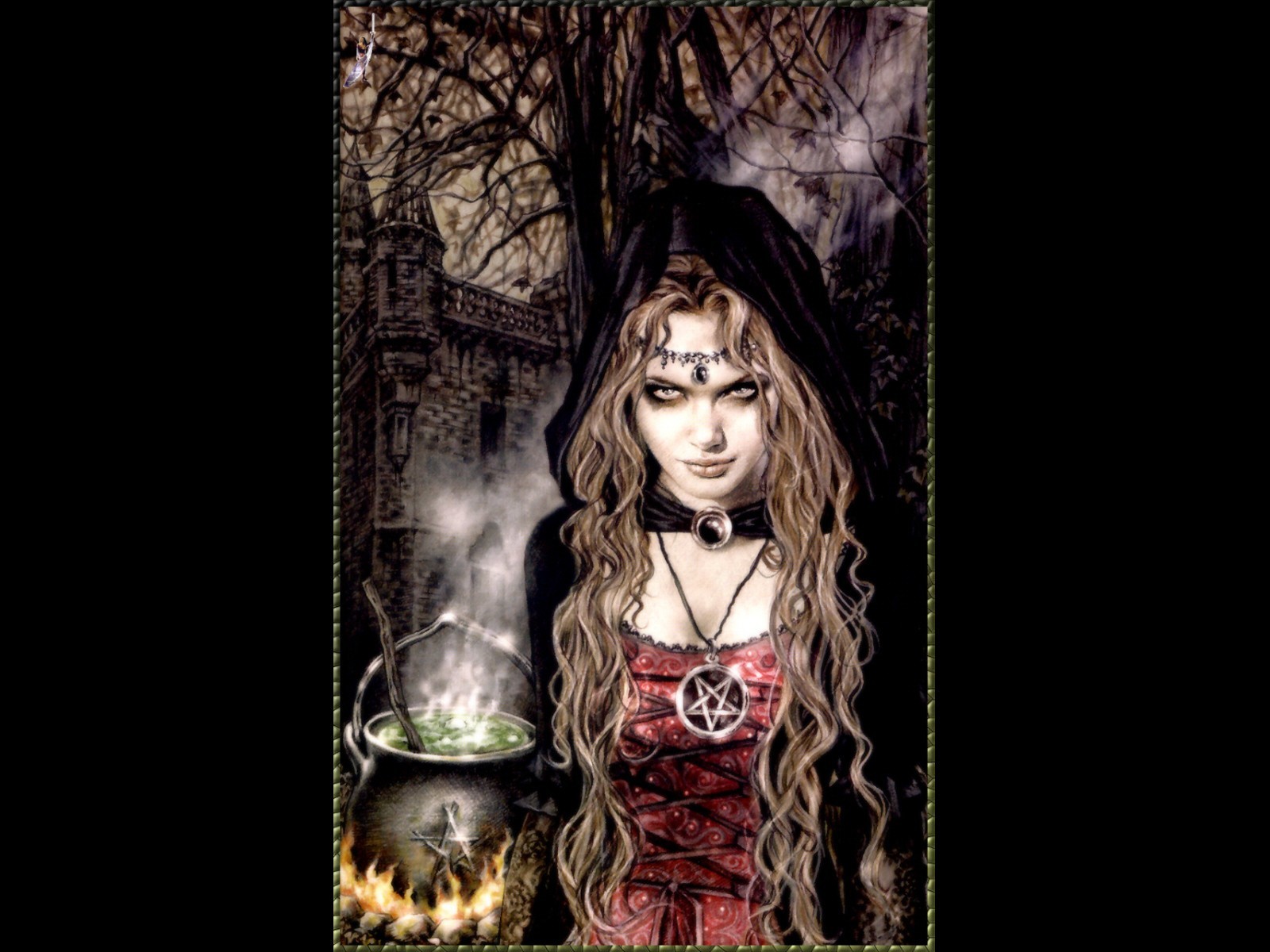 Witch in a dark forest