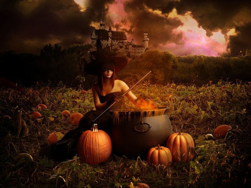 Witch in a pumpkin patch