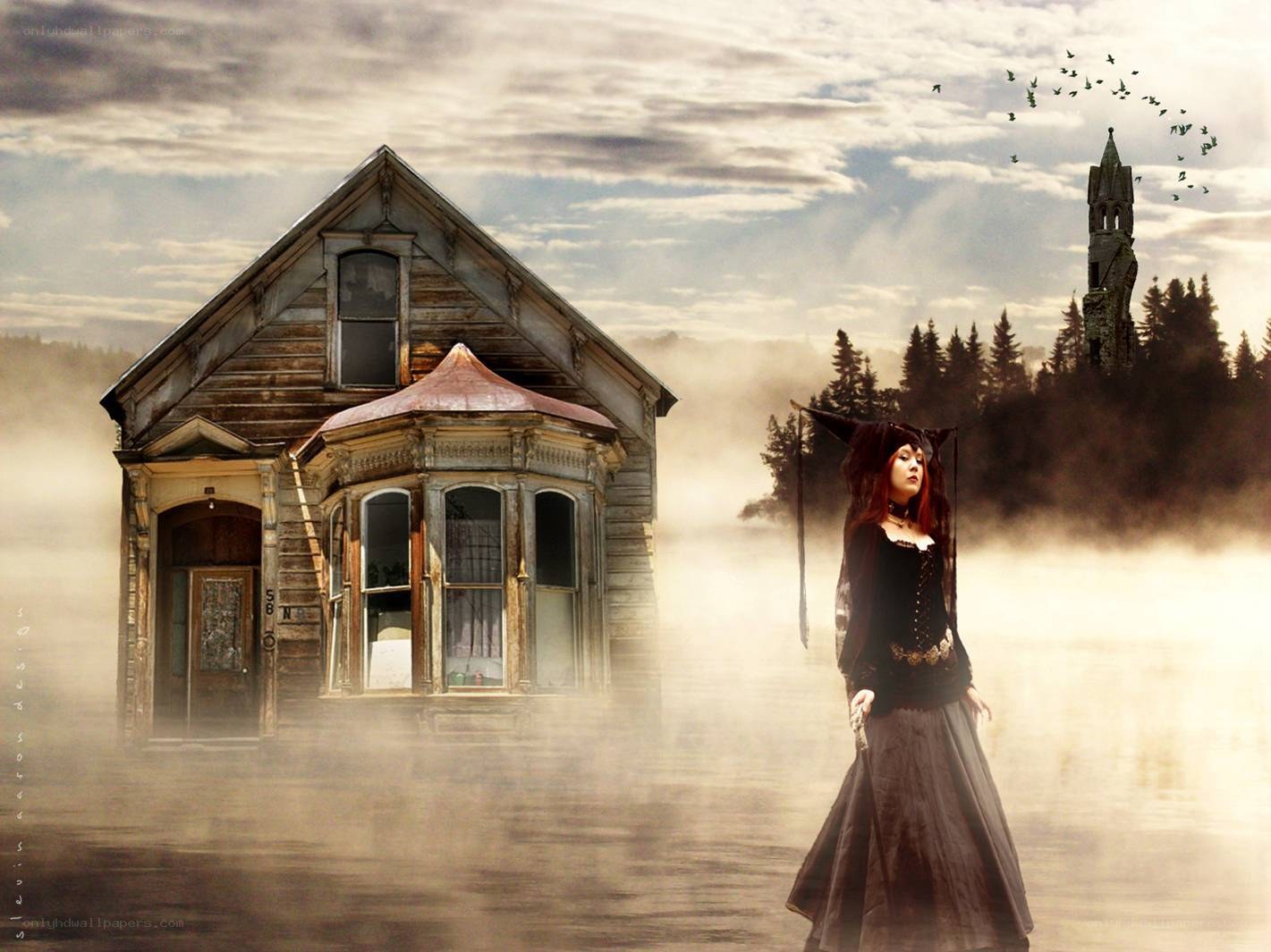 witch in foggy landscape