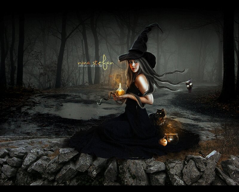 Witch in Forest — Black, Dark, Night, Digital Art, Cat